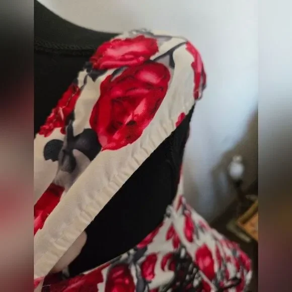 Hearts & Roses Ruffle Tiered Dress Curset Tie - Picture 12 of 13